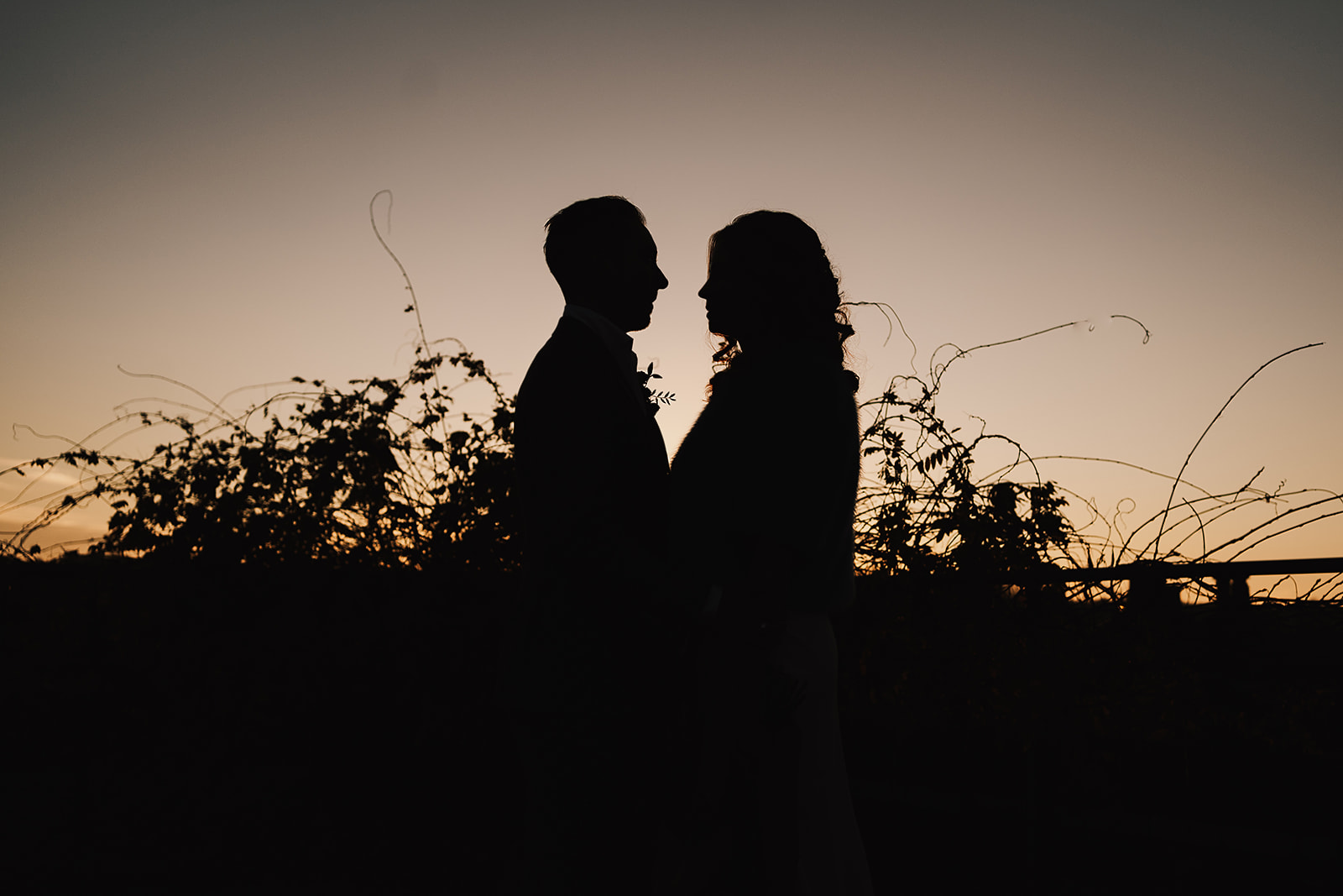 sunset portrait at south London wedding at One Friendly Place