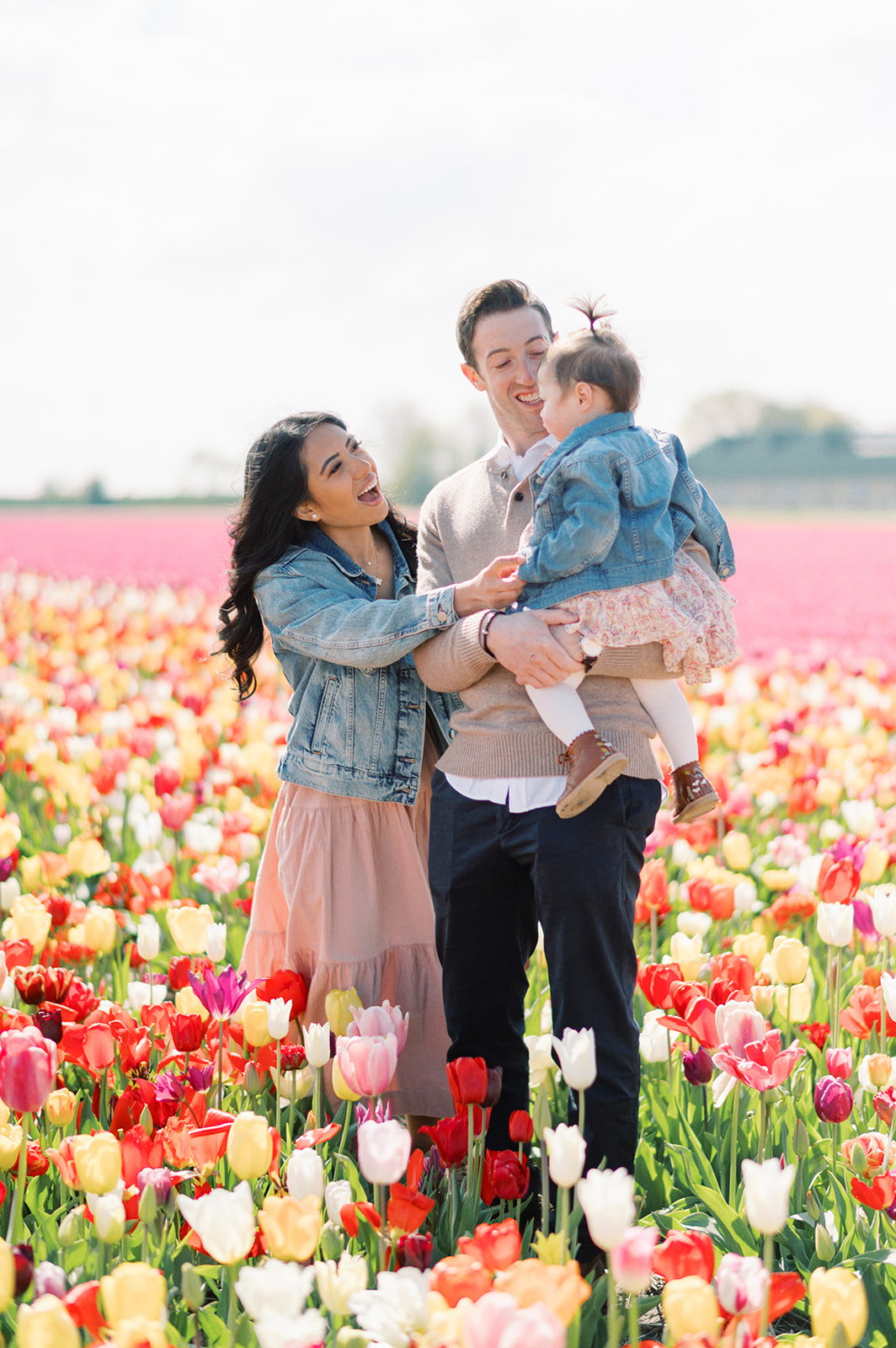 A family in the tulip fields in the Netherlands