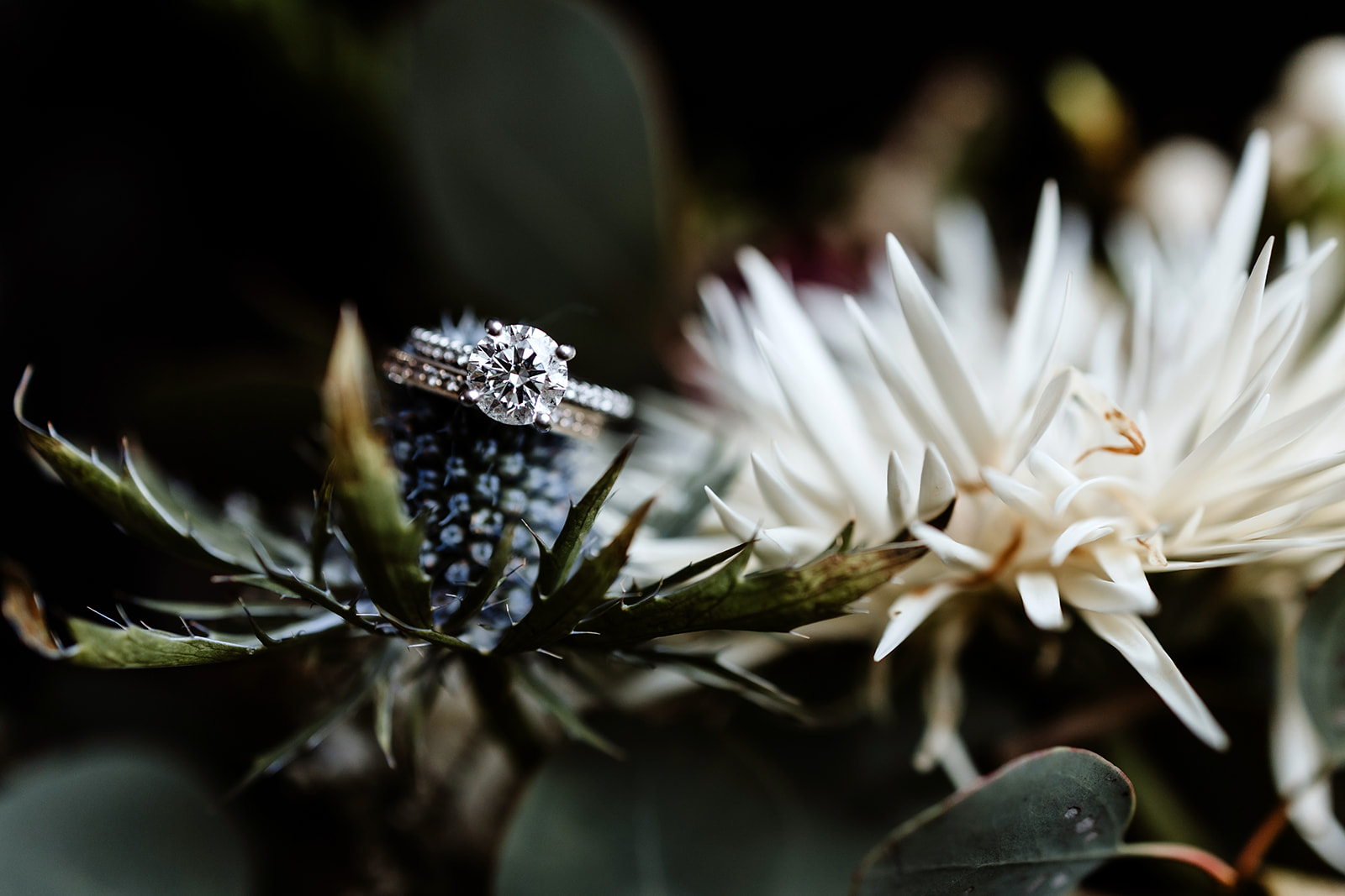 Wedding ring from an Icelandic elopement