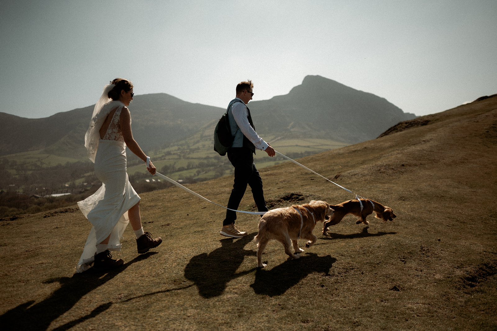 a couple who eloped to Wales talking their dogs for a walk wearing their wedding outfits