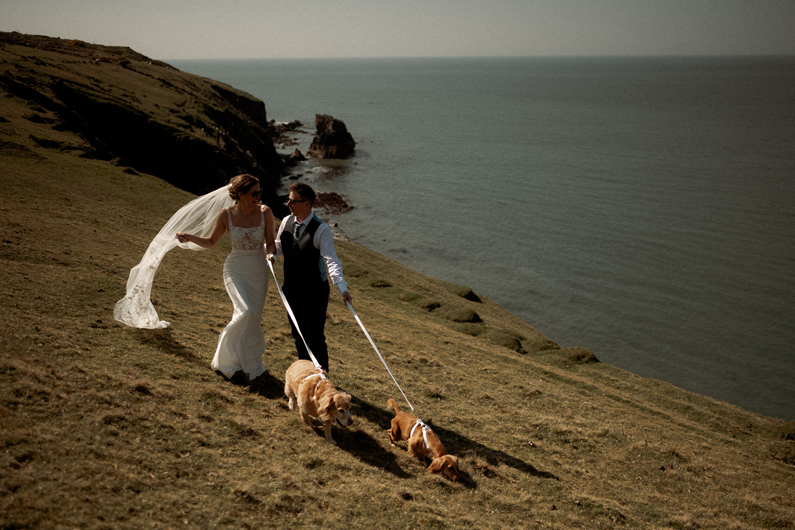 a couple who eloped to Wales talking their dogs for a walk wearing their wedding outfits