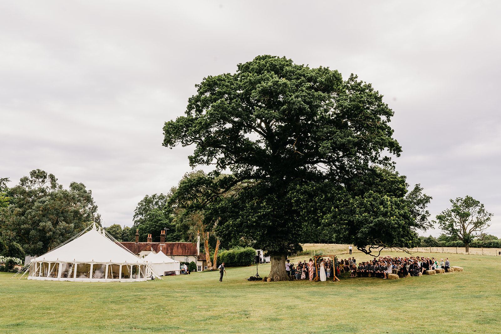 wedding ceremony under tree