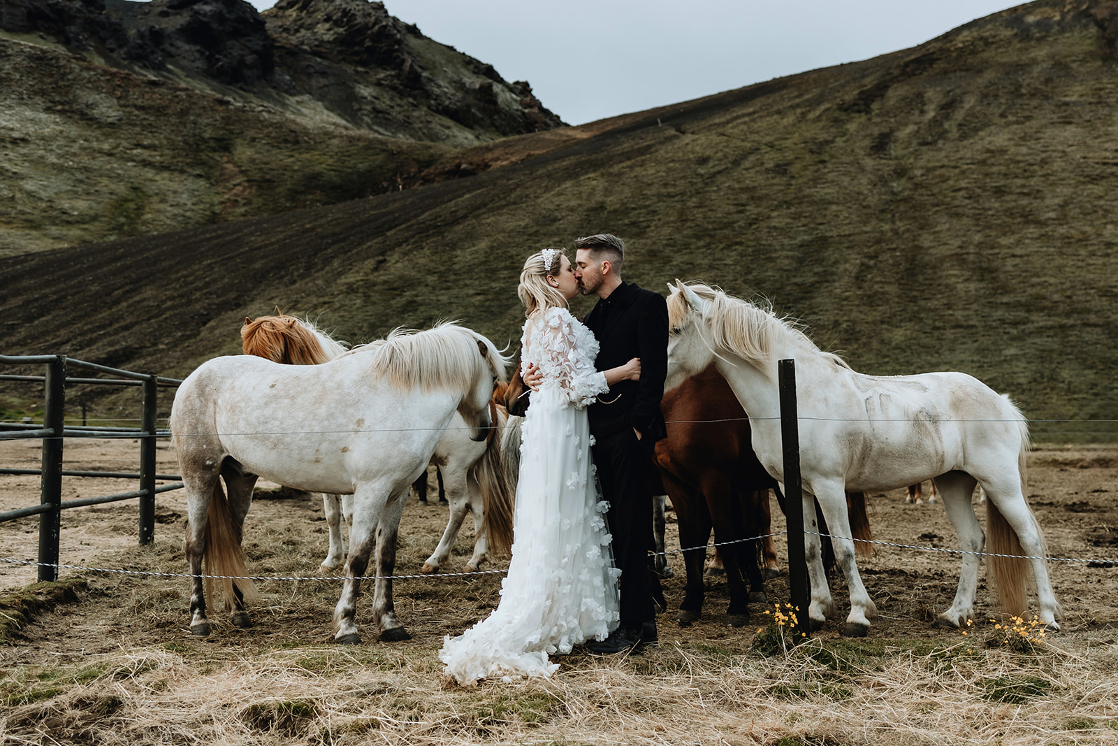 Bride and groom standing in front of majestic horses in the Icelandic highlands, capturing a unique wedding moment 