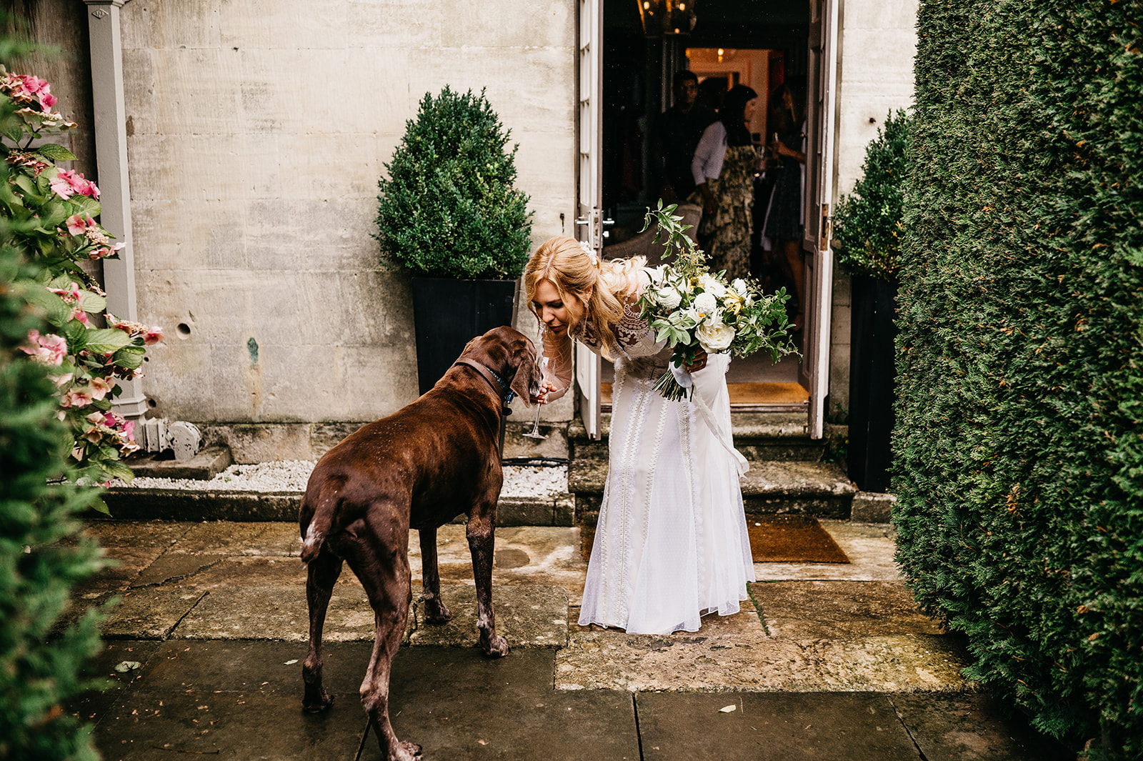 Bride and ring bearer dog 