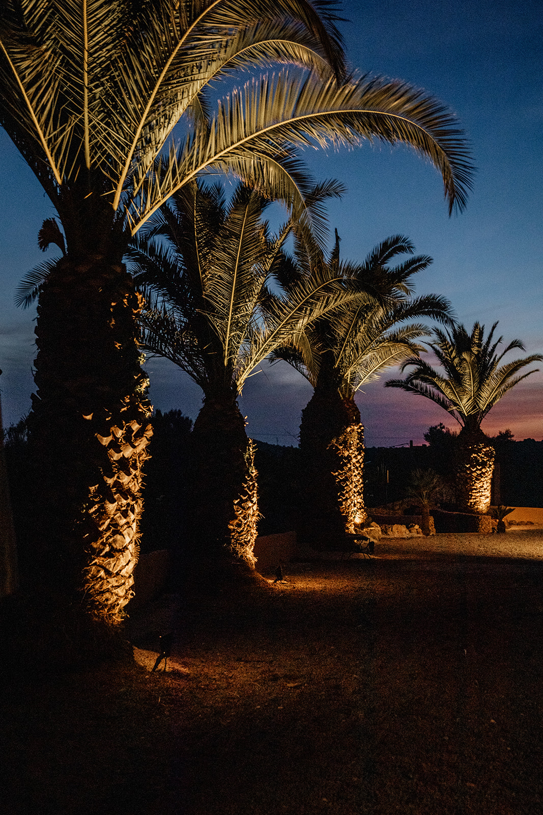 Abendlicht auf Finca Mallorca 