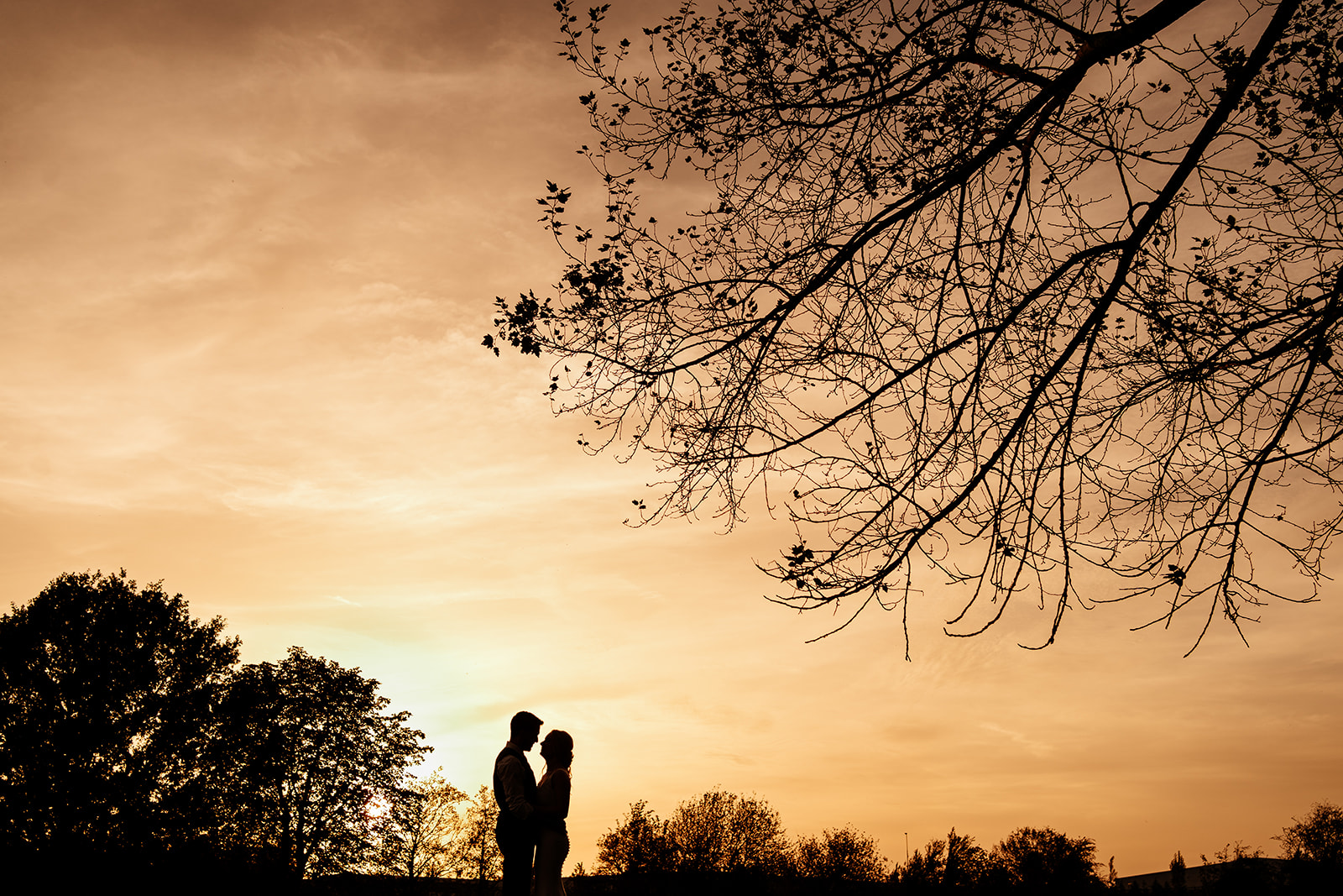 Silhouette photo of bride and groom 