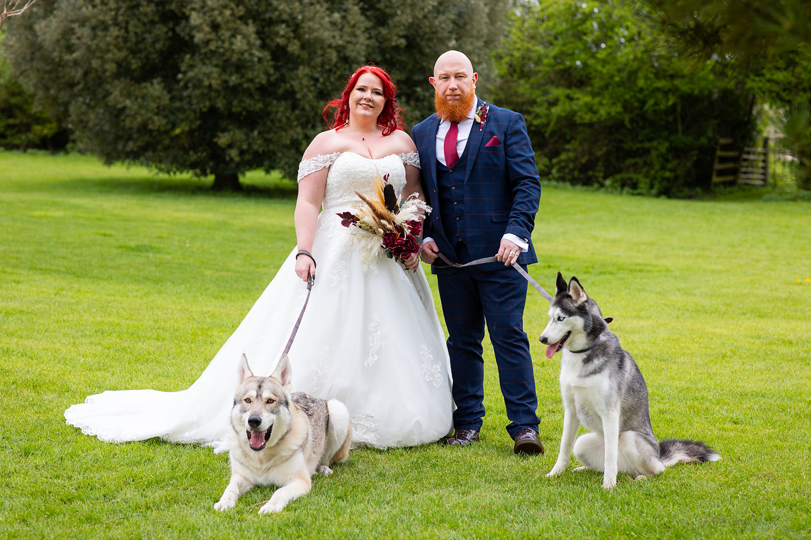 wedding couple with dogs portrait
